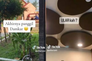 Bukti damkar cepat tanggap, momen evakuasi benda aneh disangka ular di atap ini endingya bikin kaget