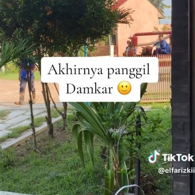 Bukti damkar cepat tanggap, momen evakuasi benda aneh disangka ular di atap ini endingya bikin kaget