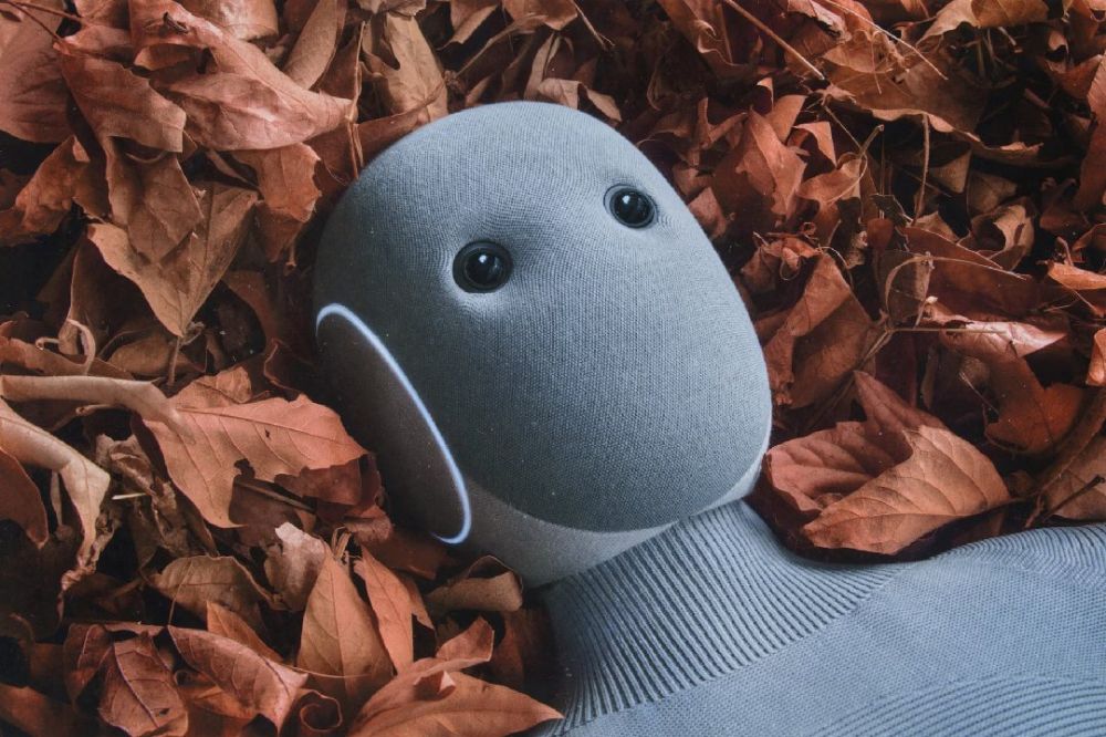 Gimana sih rasanya punya robot jadi ART di rumah? Siap-siap rogoh kocek minimal Rp 300 juta