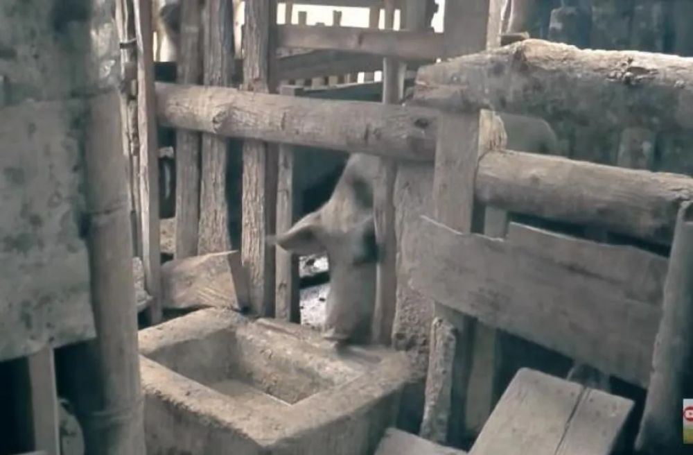 11 Potret rumah Betrand Peto di kampung, dapurnya beralas tanah jauh dari kata mewah