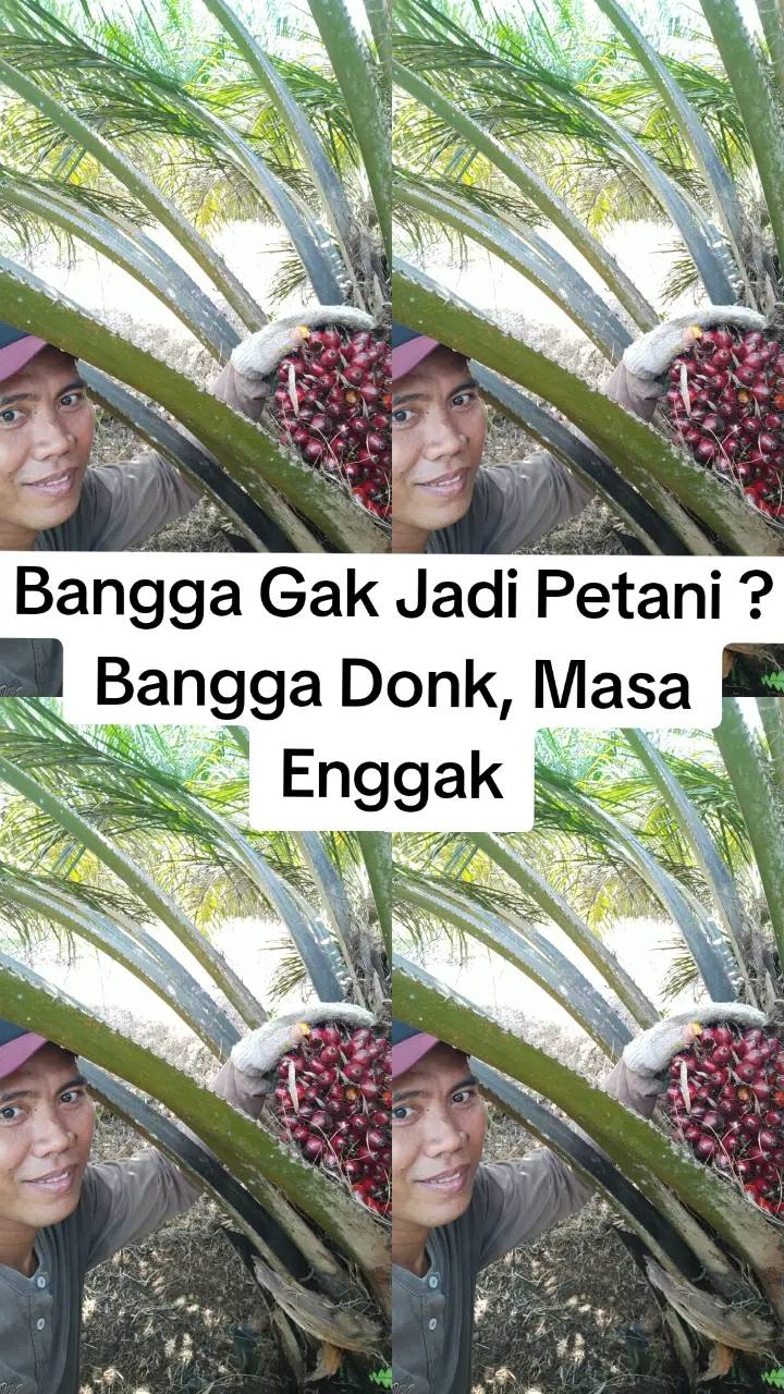 Viral pria lulusan universitas top IPK cumlaude, kini bahagia jadi petani, ini kisah lengkapnya