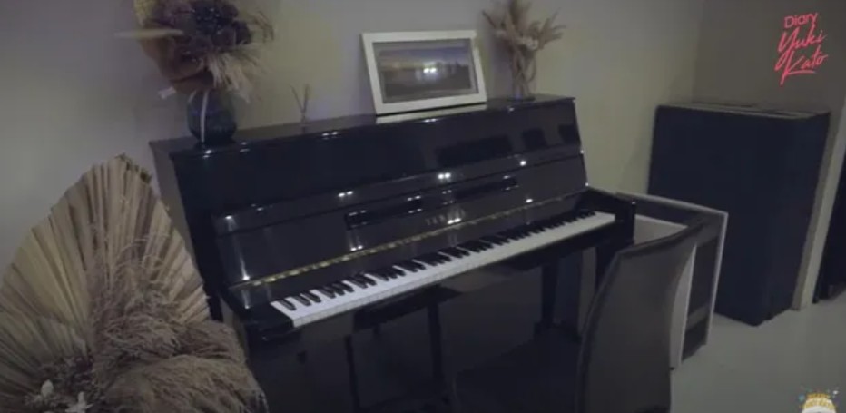 9 Potret rumah Vidi Aldiano ini meski di lahan sempit tapi kesannya lega, buka pintu langsung dapur