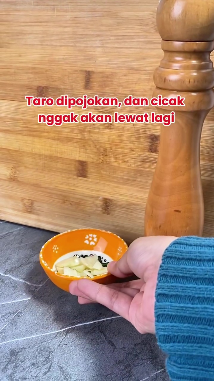 Ternyata bawang putih manjur banget usir cicak di rumah, begini cara pakainya