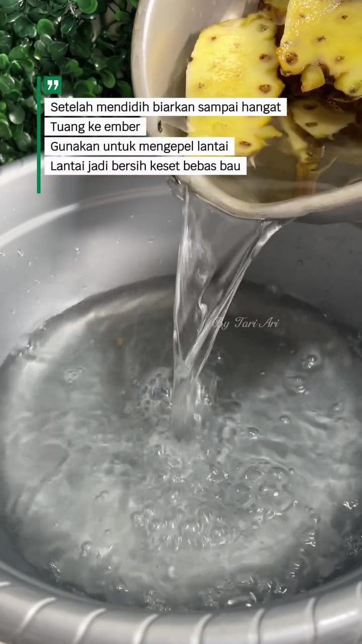 Bukan cuka atau baking soda, rebusan kulit buah ini bisa bikin lantai kesat dan antiamis saat dipel