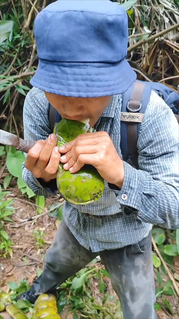 Viral penemuan petai raksasa di hutan yang panjangnya capai 1 meter, warganet: memang bisa dimakan?