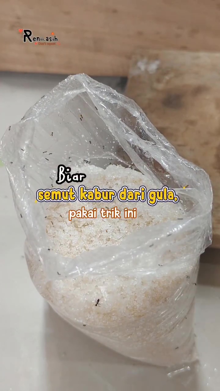 Stok gula di dapur penuh semut? Jangan keburu dibuang! Gunakan 1 bumbu dapur ini untuk mengusirnya