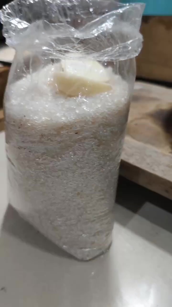 Stok gula di dapur penuh semut? Jangan keburu dibuang! Gunakan 1 bumbu dapur ini untuk mengusirnya