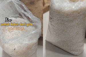 Stok gula di dapur penuh semut? Jangan keburu dibuang! Gunakan 1 bumbu dapur ini untuk mengusirnya