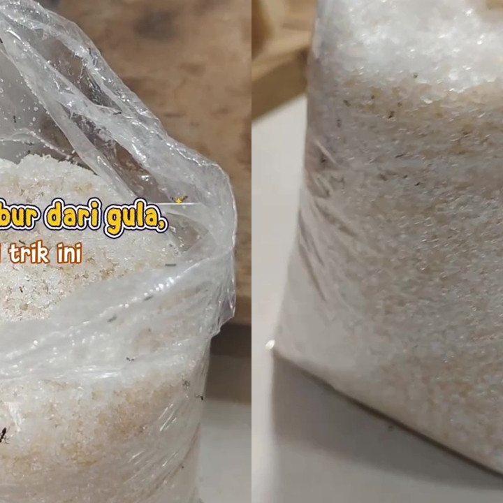 Stok gula di dapur penuh semut? Jangan keburu dibuang! Gunakan 1 bumbu dapur ini untuk mengusirnya