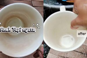 Bukan sitrun atau soda kue, ternyata bumbu dapur ini ampuh basmi kerak di gelas dalam sekali gosok