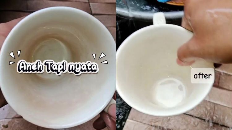 Bukan sitrun atau soda kue, ternyata bumbu dapur ini ampuh basmi kerak di gelas dalam sekali gosok