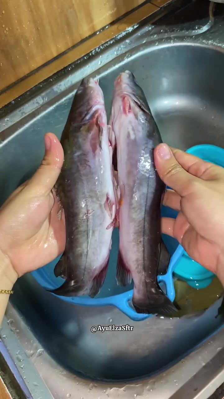 Tak perlu ditaburi tepung, ini cara ampuh hilangkan lendir ikan patin dalam 10 detik