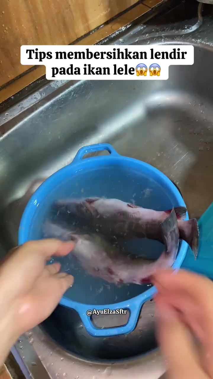 Tak perlu ditaburi tepung, ini cara ampuh hilangkan lendir ikan patin dalam 10 detik