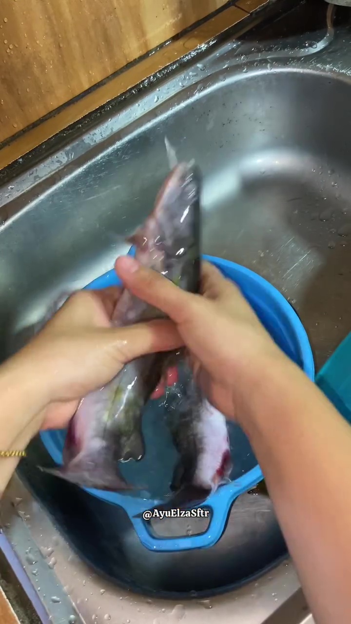 Tak perlu ditaburi tepung, ini cara ampuh hilangkan lendir ikan patin dalam 10 detik