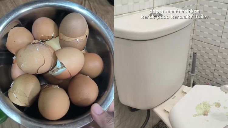 Cara mudah bikin pembersih kerak kloset dari cangkang telur, cuma butuh 3 langkah praktis ini