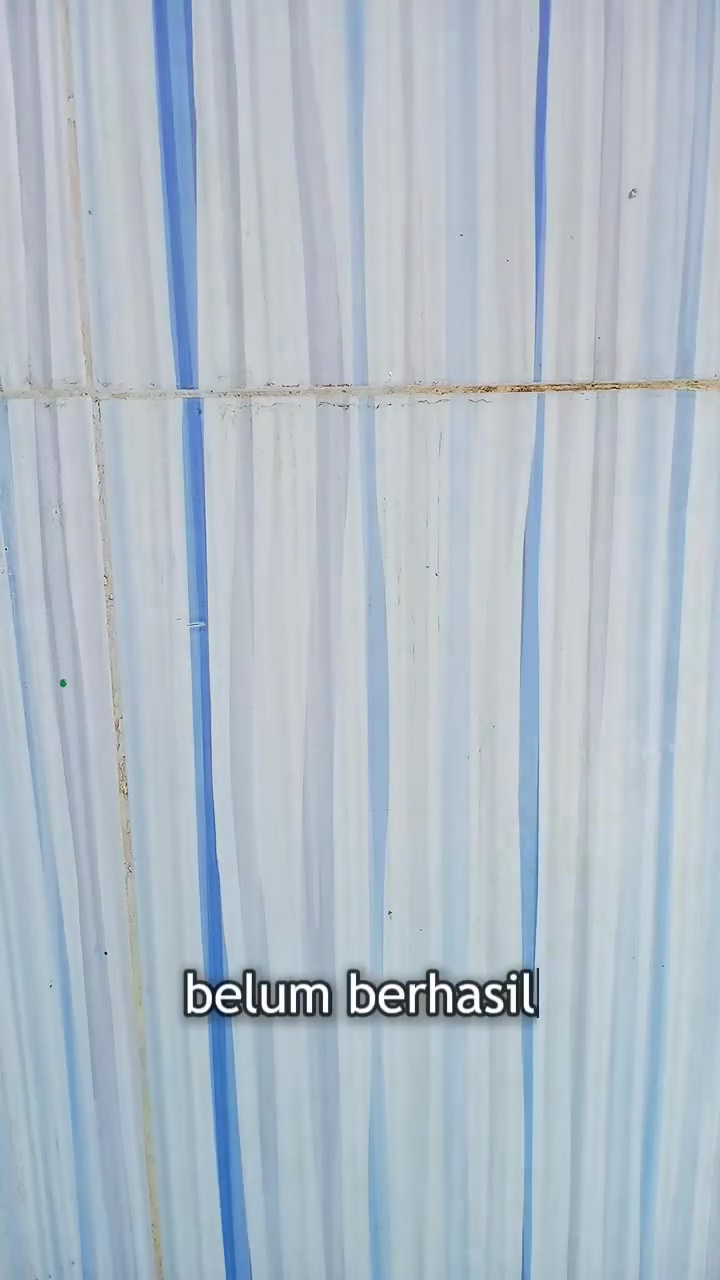 Jangan biarkan tembok kamar mandi berlumut dan berkerak! Bersihkan dengan garam dan 1 bahan dapur ini