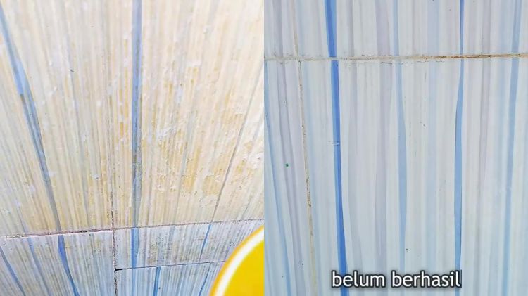 Jangan biarkan tembok kamar mandi berlumut dan berkerak! Bersihkan dengan garam dan 1 bahan dapur ini