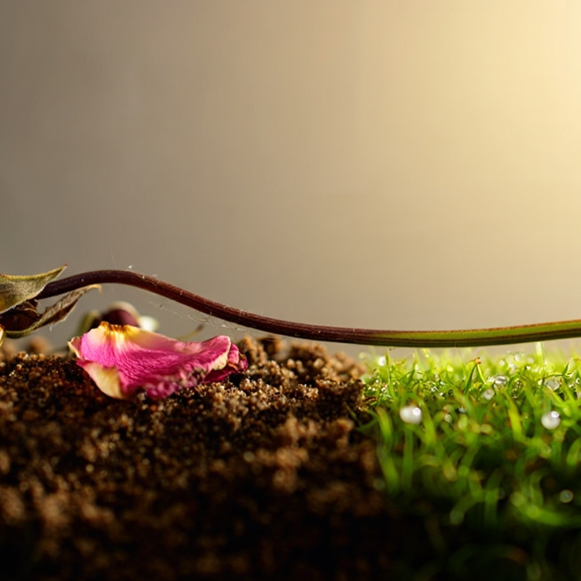 100 Kata-kata motivasi tentang tak ada hidup yang abadi, memberi pencerahan