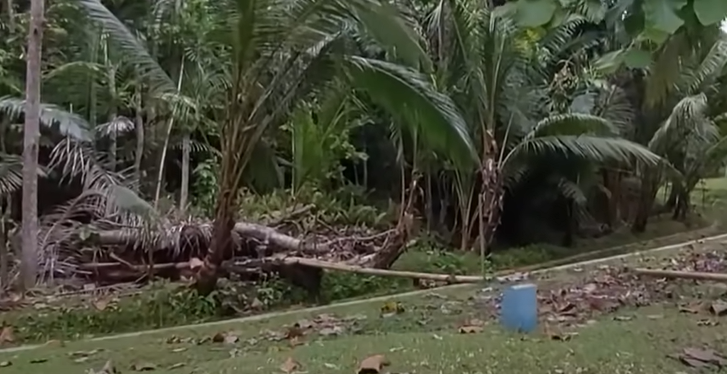 6 Potret sederhana rumah masa kecil Fajar Sadboy jauh dari kata mewah, teras masih pakai plester semen