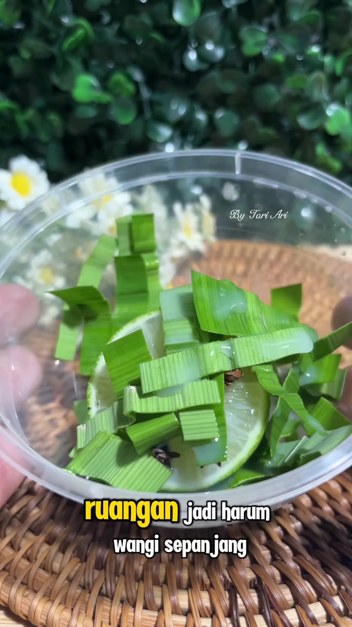 Lalat di dapur bikin makanan terkontaminasi, ini cara mengusirnya pakai jeruk nipis dan 2 rempah dapur