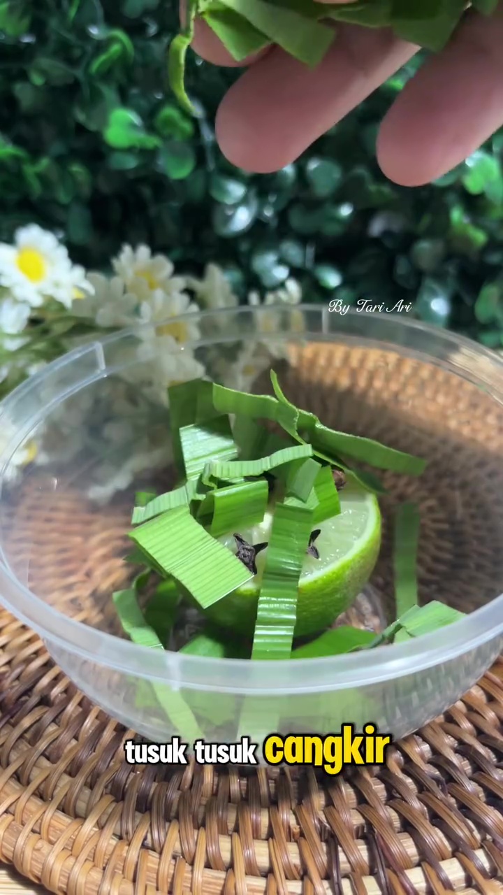 Lalat di dapur bikin makanan terkontaminasi, ini cara mengusirnya pakai jeruk nipis dan 2 rempah dapur