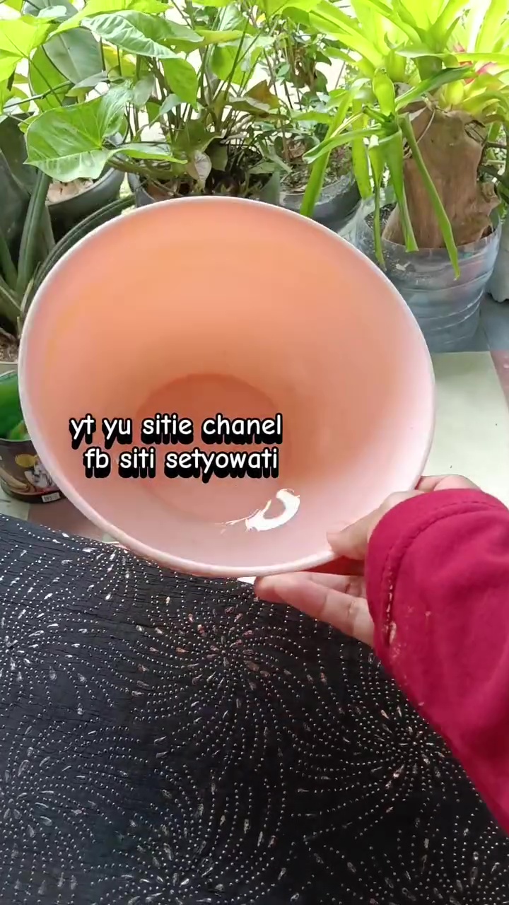 Jangan cuma pakai pasta gigi buat bersihkan noda kunyit di perabot plastik, tambah 1 bahan dapur ini