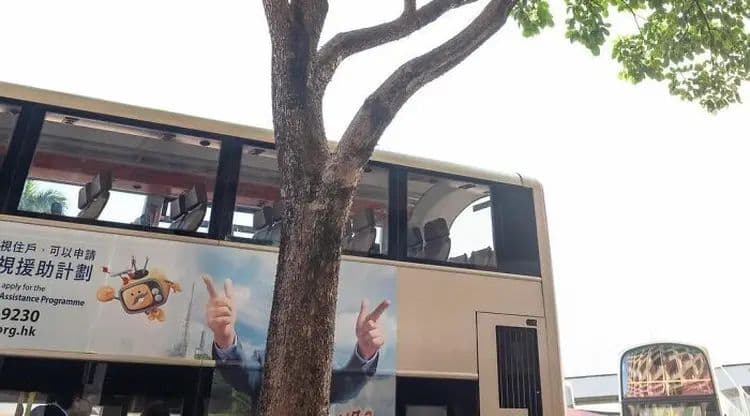 14 potret kebetulan ini kelihatannya hasil edit padahal nyata tanpa rekayasa