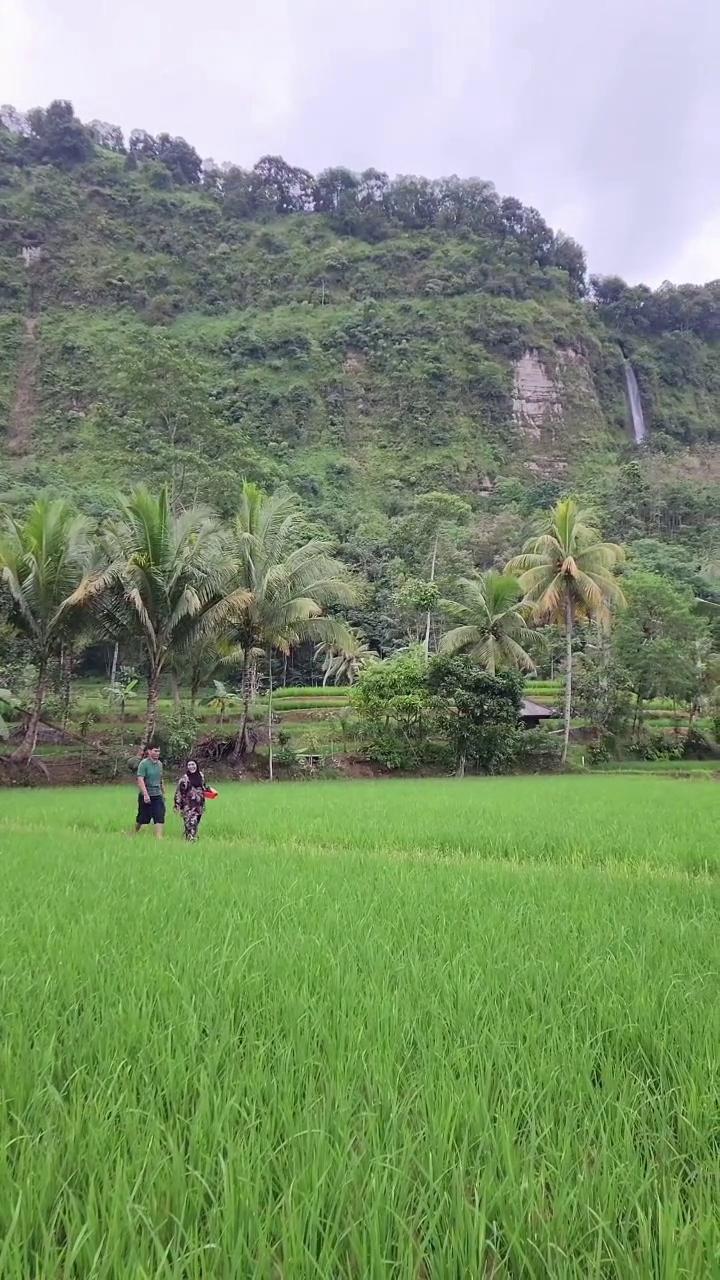 Tetap sederhana, intip 9 potret keseharian Endang Mulyana ayah Lesty Kejora bertani di sawah