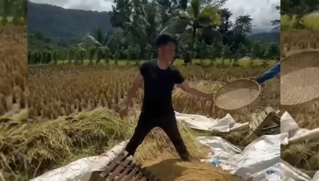 Tetap sederhana, intip 9 potret keseharian Endang Mulyana ayah Lesty Kejora bertani di sawah