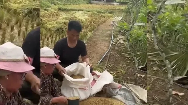 Tetap sederhana, intip 9 potret keseharian Endang Mulyana ayah Lesty Kejora bertani di sawah