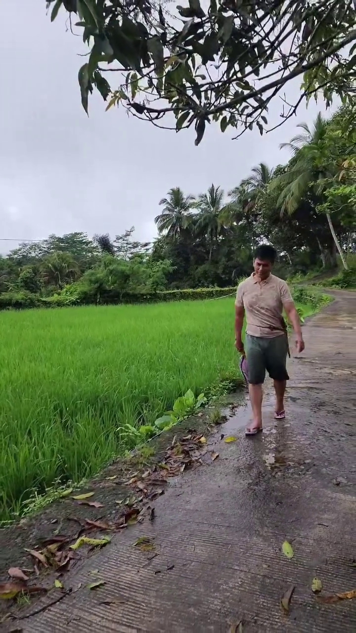 Tetap sederhana, intip 9 potret keseharian Endang Mulyana ayah Lesty Kejora bertani di sawah