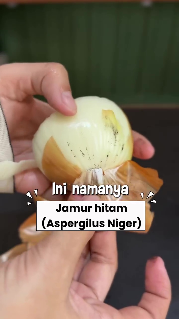 Serbuk hitam di bawang merah dan bombay bukan debu biasa, ini fakta yang jarang diketahui