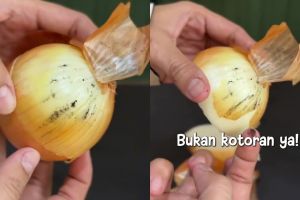 Serbuk hitam di bawang merah dan bombay bukan debu biasa, ini fakta yang jarang diketahui