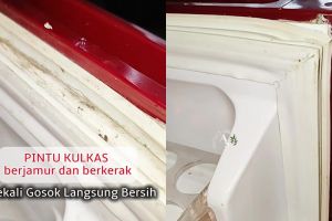 Cara bersihkan karet pintu kulkas dekil berjamur modal 3 bahan dapur, noda hilang dalam sekali gosok