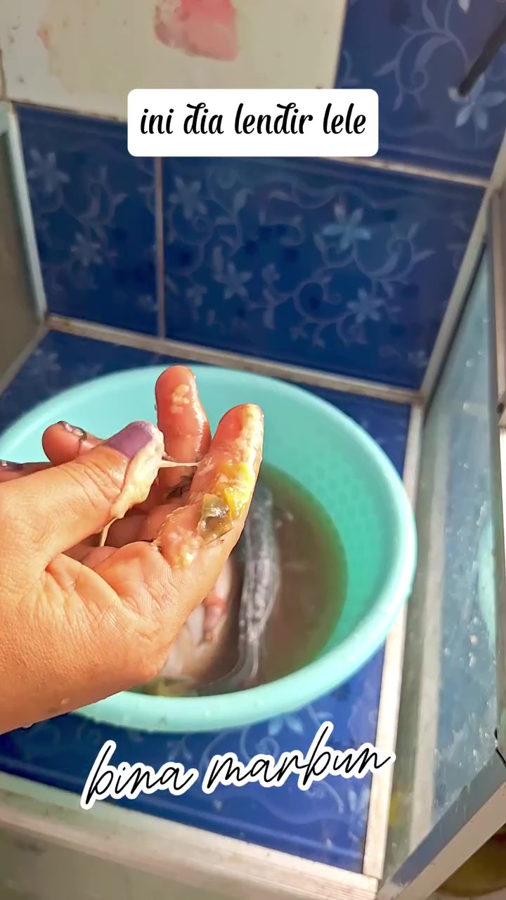 Lendir ikan lele sering bikin risih? Coba bersihkan dengan cara ini biar luntur tanpa digosok