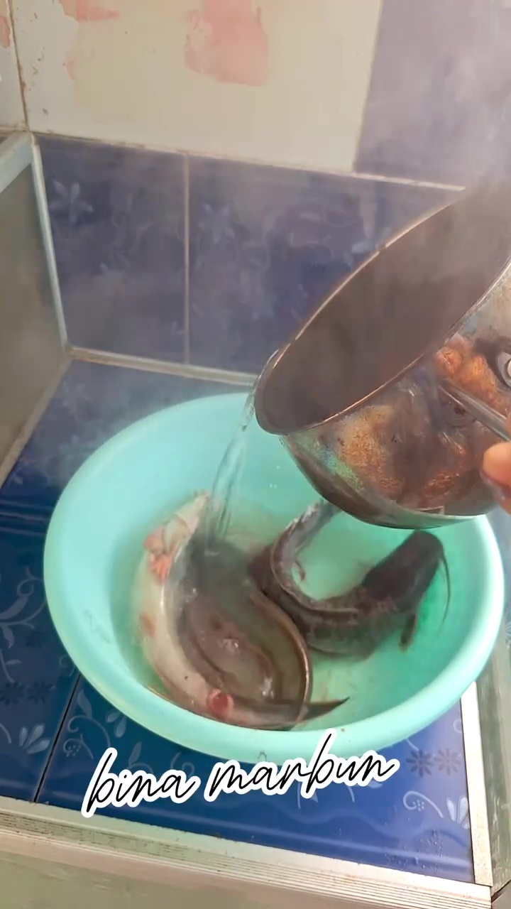Lendir ikan lele sering bikin risih? Coba bersihkan dengan cara ini biar luntur tanpa digosok