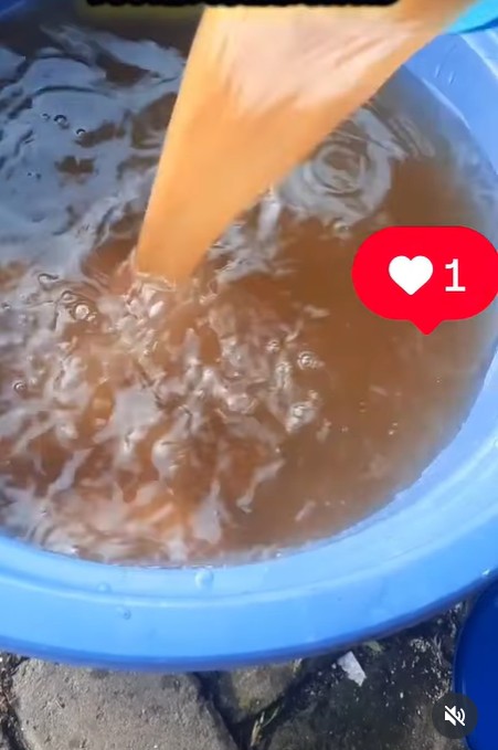 Ingin tanaman cepat berbuah? Coba pakai pupuk dari telur dan 2 bumbu dapur ini