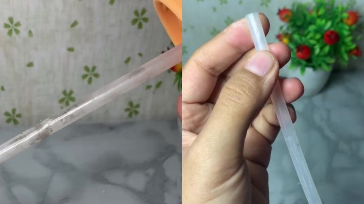 Mau cuci sedotan botol minum, tapi nggak punya sikatnya? Coba pakai 1 alat ini biar bersih bebas lumut