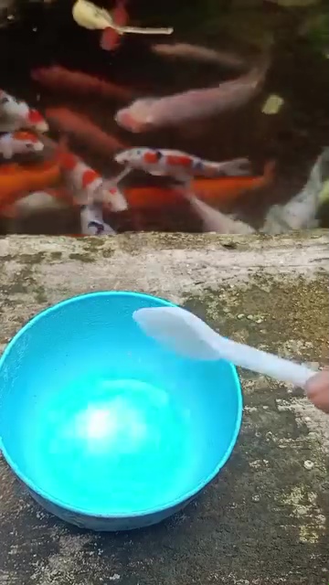 Bintik hitam noda jamur di tas bisa hilang pakai garam, simak cara menggunakannya biar efektif