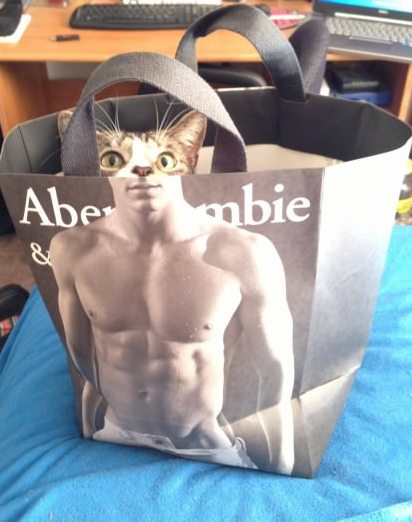 Bukan trik editing, 11 hasil foto ini tampak mindblowing sampai bikin mata refleks kedip dua kali