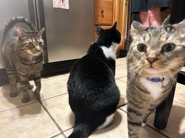 Bukan trik editing, 11 hasil foto ini tampak mindblowing sampai bikin mata refleks kedip dua kali