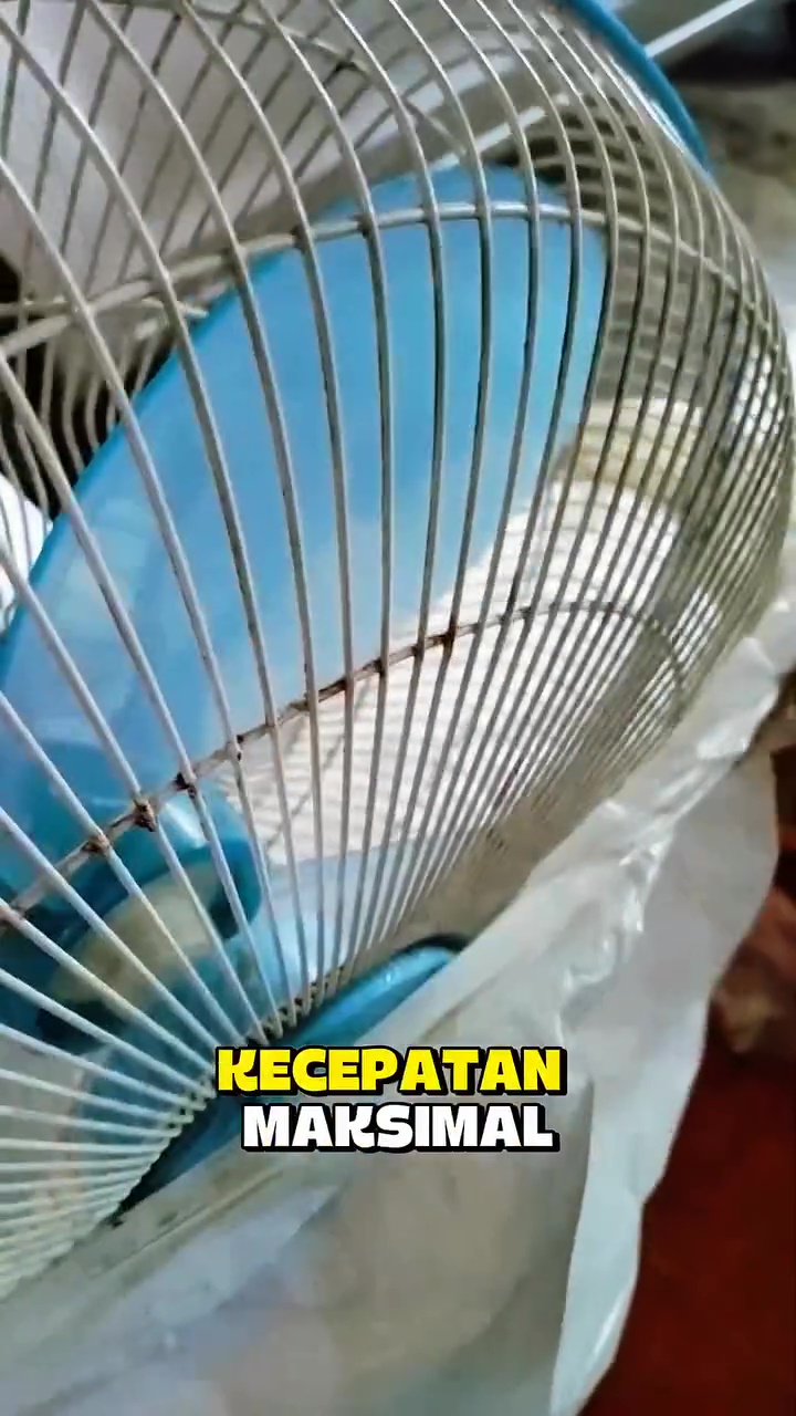 Nggak punya waktu bersihkan kipas? Coba pakai trik ini biar sat-set tanpa dibongkar