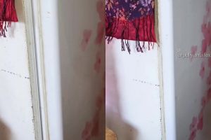 Dapat bocoran dari tukang servis, wanita ini bagikan trik perbaiki pintu kulkas tidak rapat modal Rp0