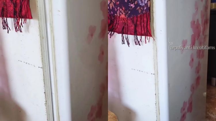 Dapat bocoran dari tukang servis, wanita ini bagikan trik perbaiki pintu kulkas tidak rapat modal Rp0