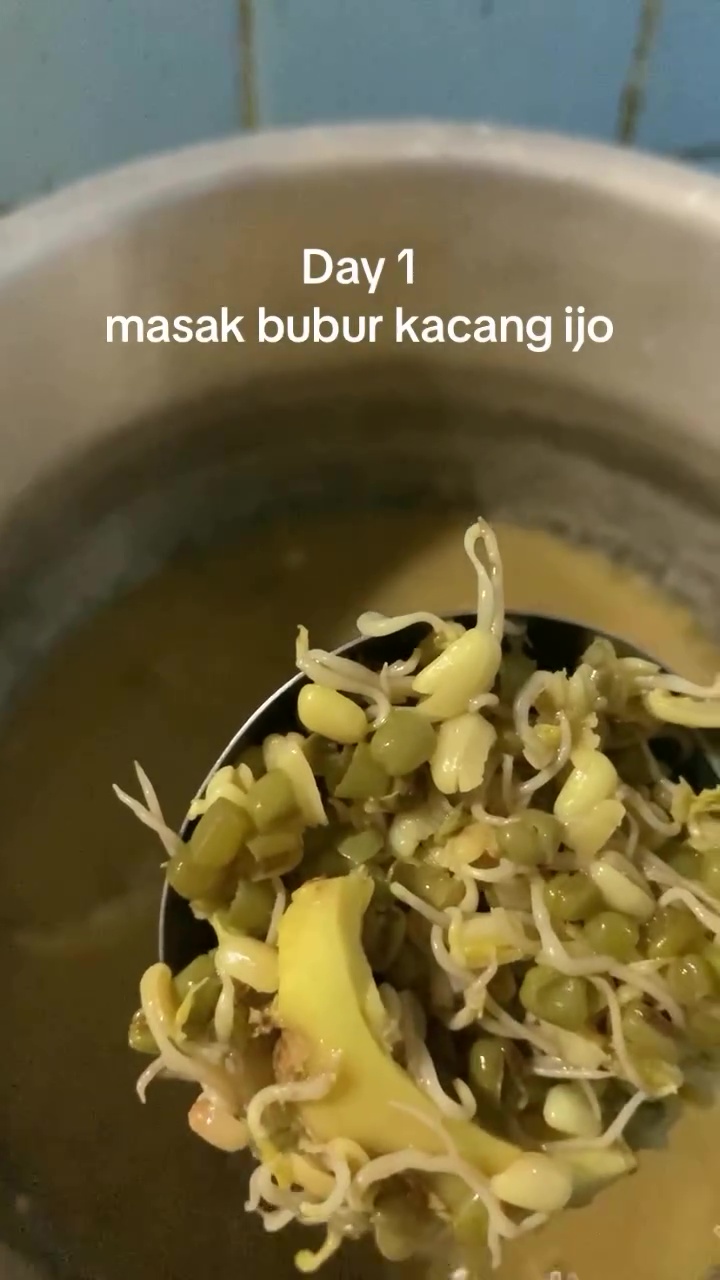 Momen apes pria masak bubuk kacang hijau, endingnya malah jadi kecambah, simak cara tepat mengolahnya