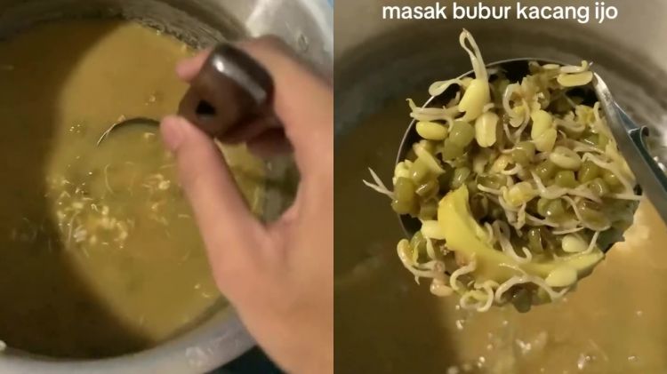 Momen apes pria masak bubuk kacang hijau, endingnya malah jadi kecambah, simak cara tepat mengolahnya