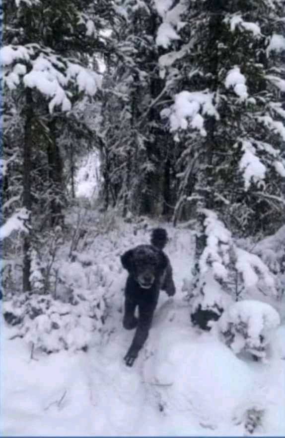 11 Foto ilusi optik ini bikin mata ketipu, butuh waktu buat nyadar apa yang sebenarnya terjadi