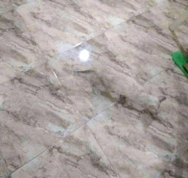 11 Foto ilusi optik ini bikin mata ketipu, butuh waktu buat nyadar apa yang sebenarnya terjadi