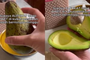 Asal simpan alpukat matang bisa bikin busuk dan menghitam, coba cara ini biar awet berminggu-minggu