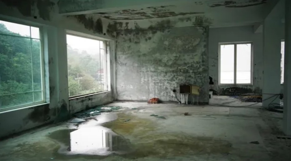 Rumah Tao Ming Tse di serial Meteor Garden ini dulunya mansion mewah, 9 potretnya kini terbengkalai